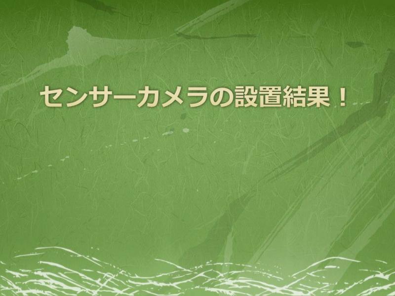 センカメの設置結果