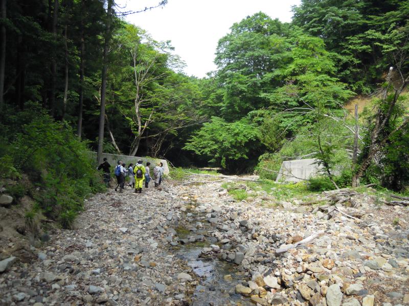 茂倉沢2号ダム