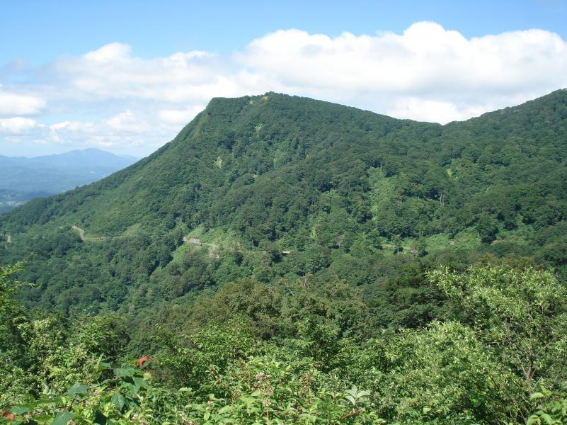 菱ヶ岳全景