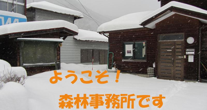 鎌田森林事務所　冬