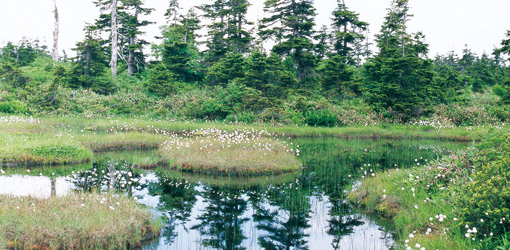 苗場山頂