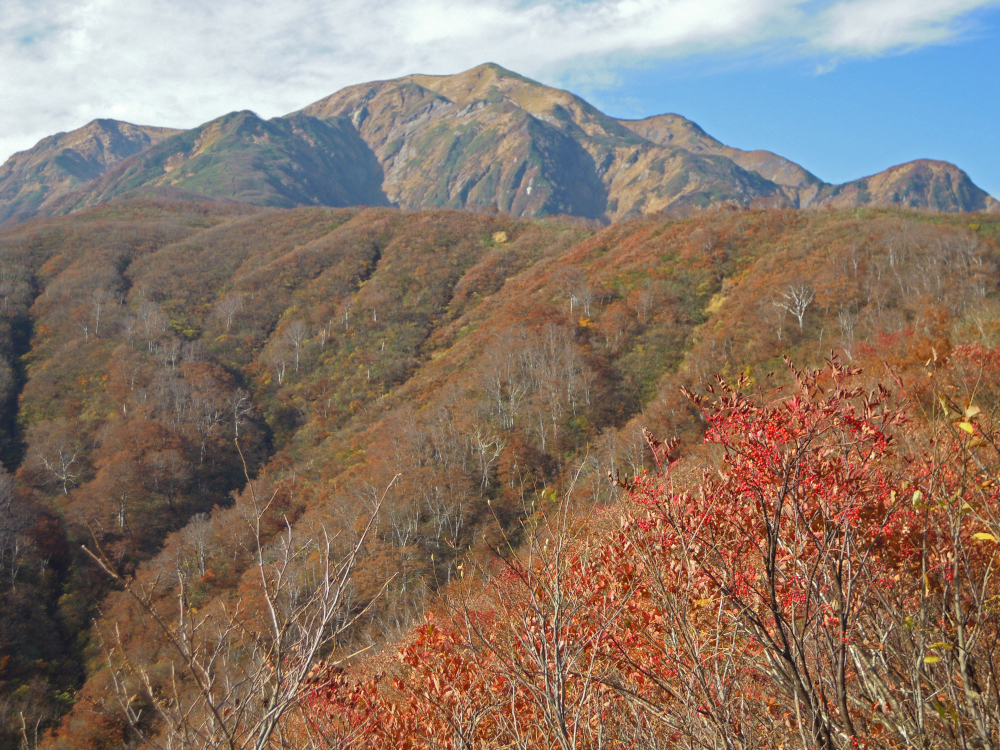 越後駒ケ岳