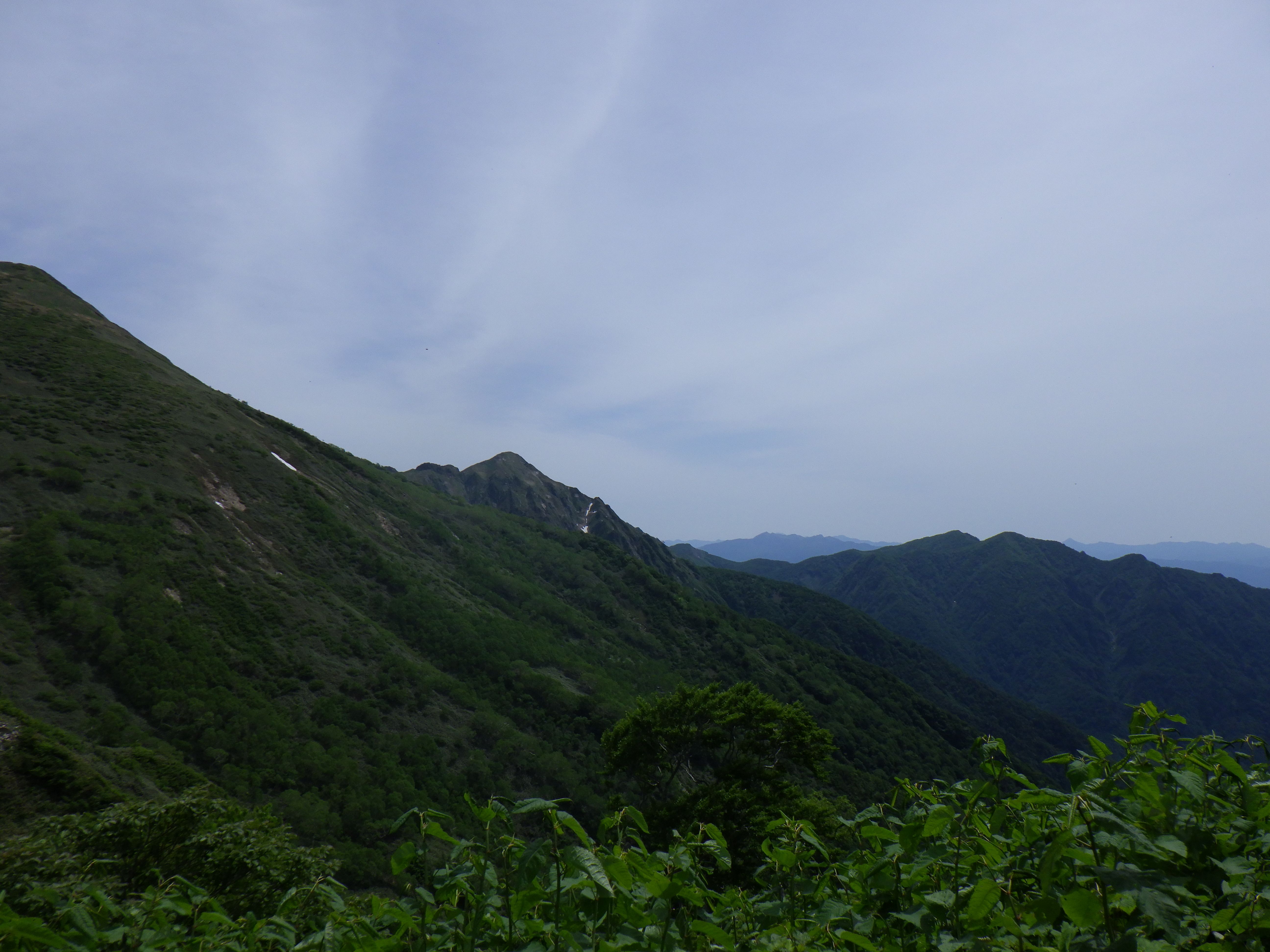 平標山からの風景写真