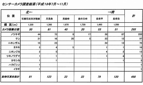動物の種類毎の撮影枚数