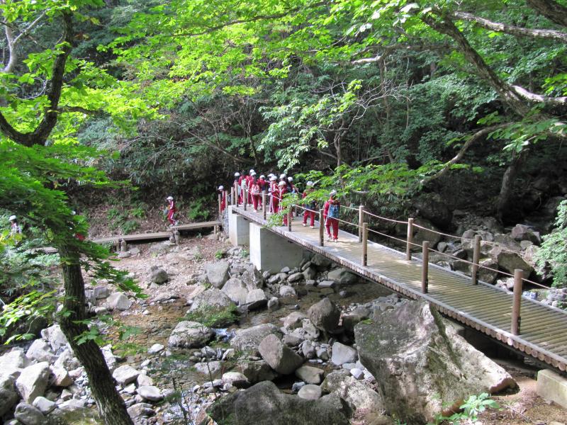 遊歩道を活用しての森林教室