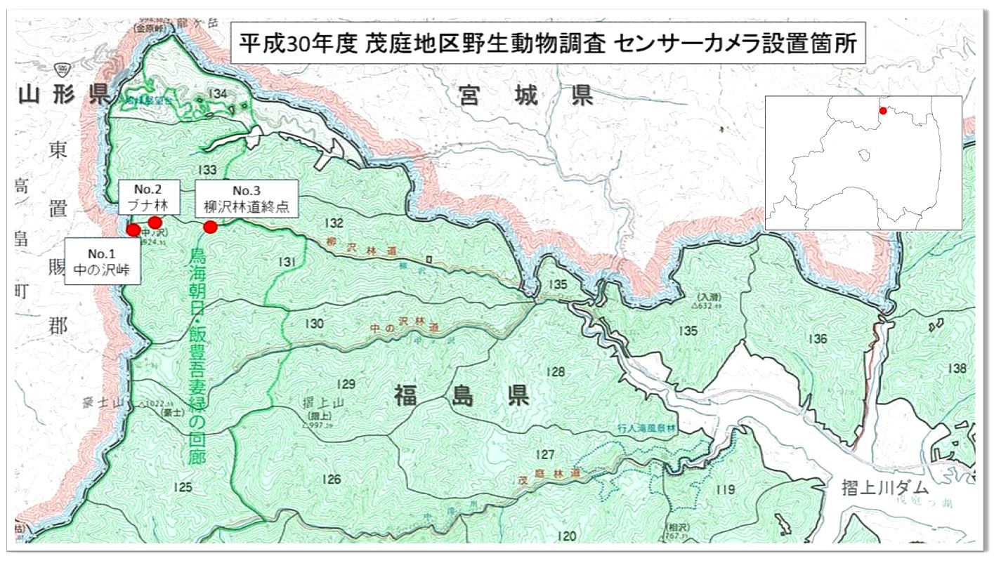 平成30年度茂庭地区野生動物調査センサーカメラ設置箇所