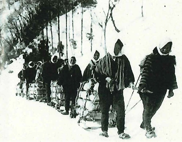 単板を橇で運ぶ婦人会の人たち