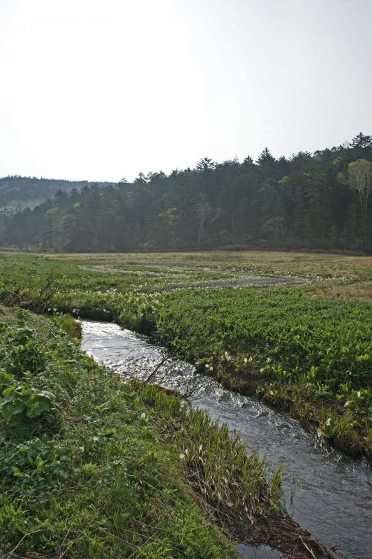 小淵沢田代分岐-3