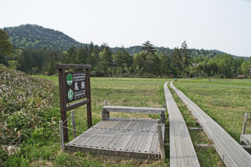 大江湿原分岐