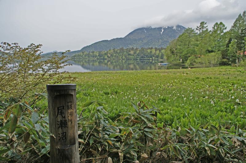 釜ツ堀湿原