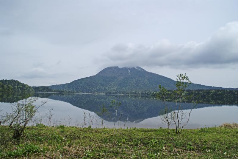 三平下の湿原