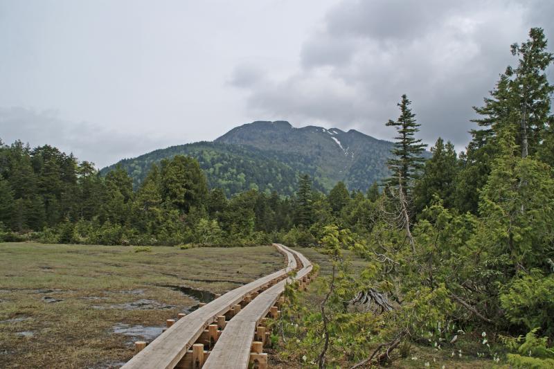 小沼湿原