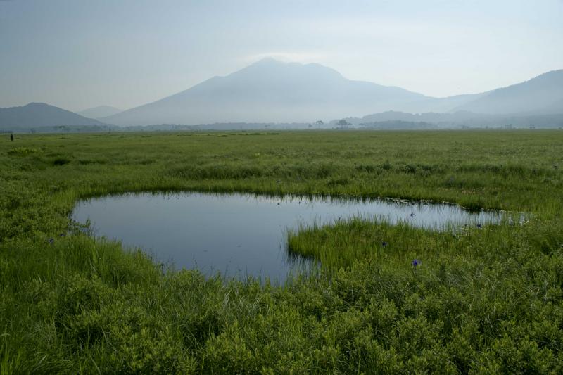 ハート形の池塘