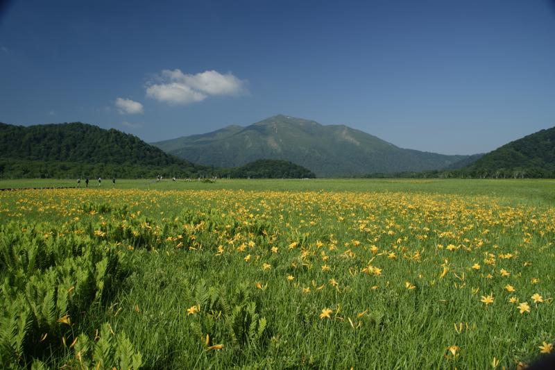 至仏山