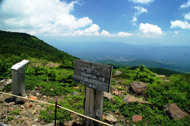 ⑤遊歩道最高点