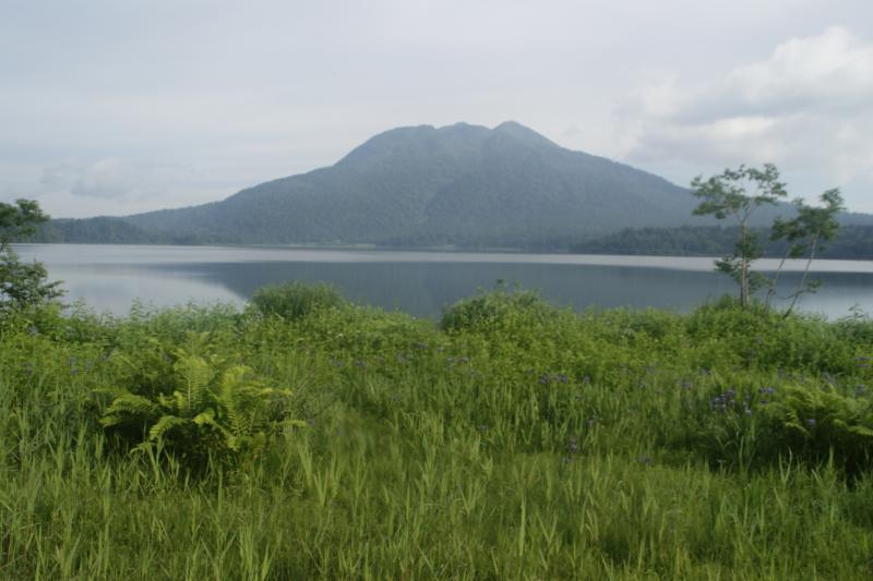 三平下湿原