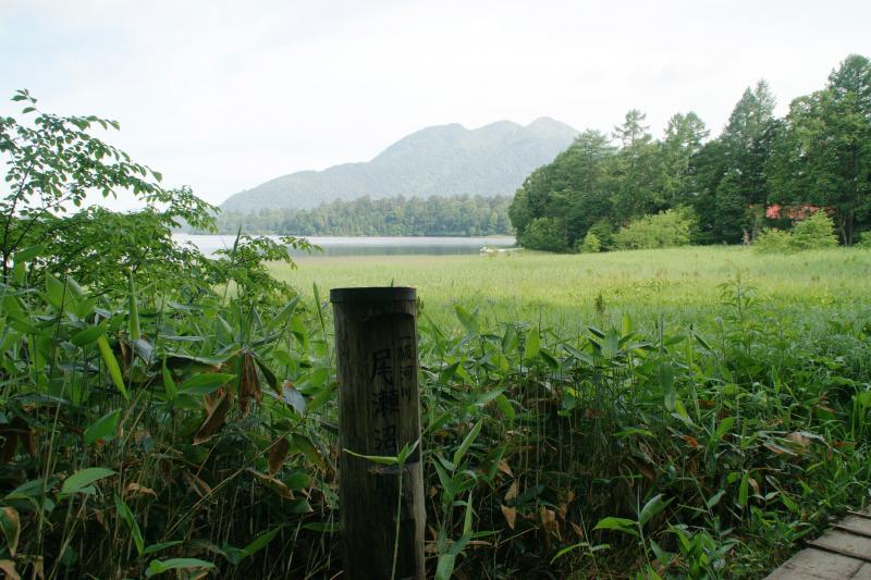 釜ツ堀湿原