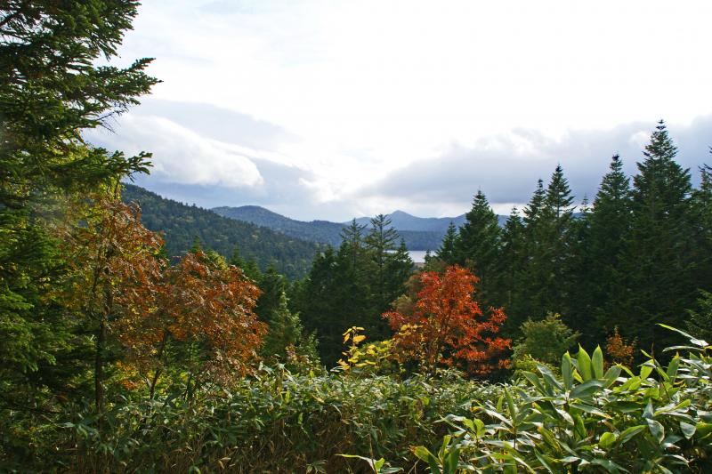 沼山峠展望台からの紅葉