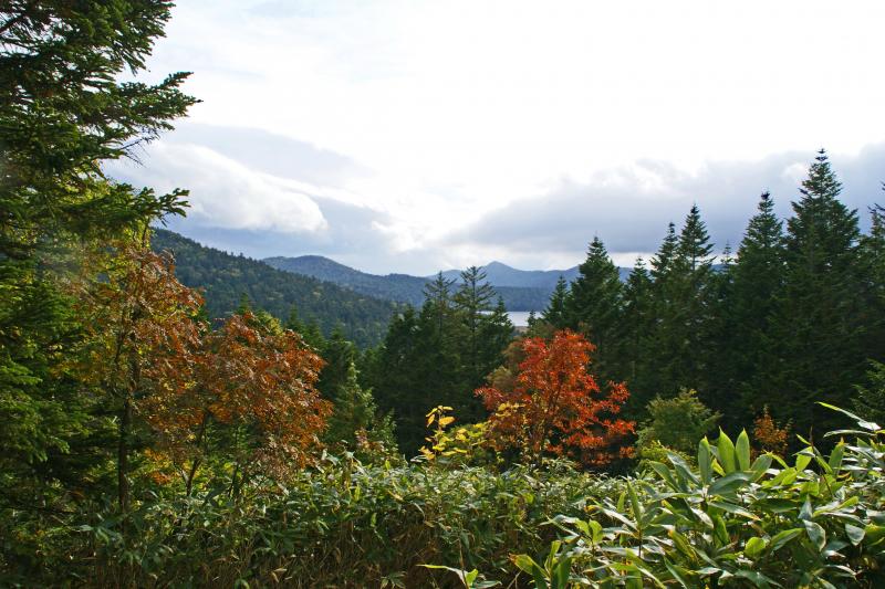 沼山峠展望台からの紅葉