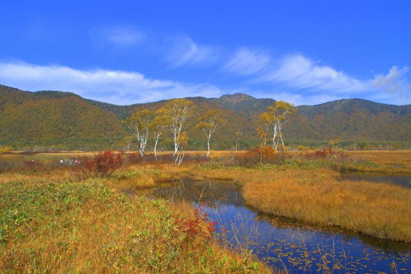 中田代の紅葉