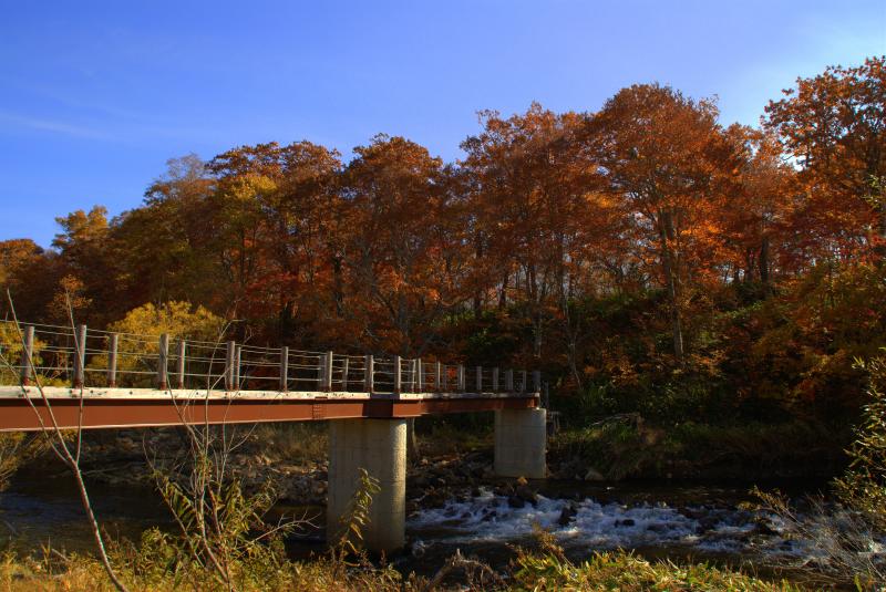 東電尾瀬橋周辺の紅葉