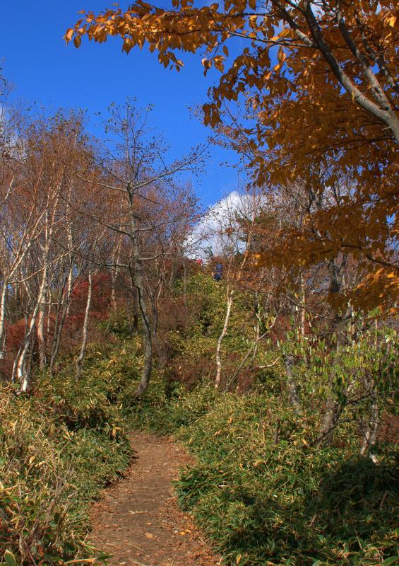 駒ヶ岳分岐を黒檜山へ