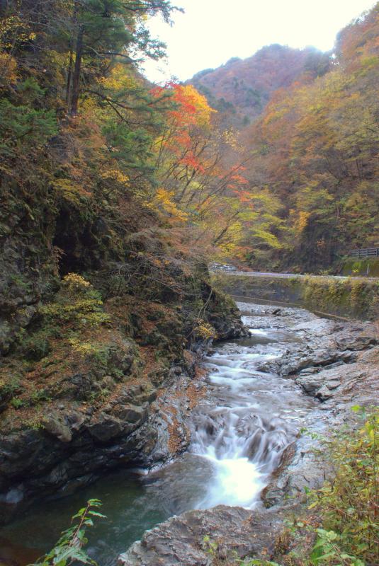 中津峡 出合氷の滝周辺の紅葉