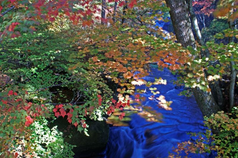 滝壺と紅葉