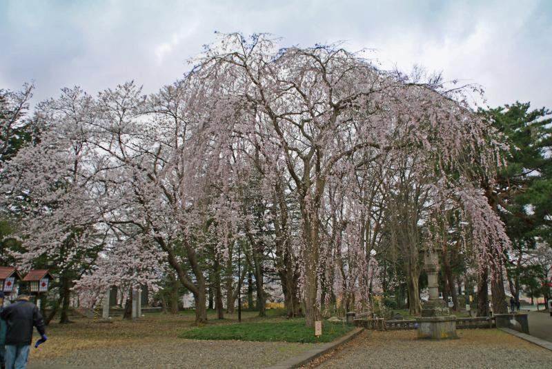 高田公園