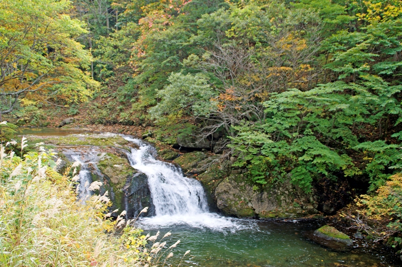 木精（こだま）の滝-1