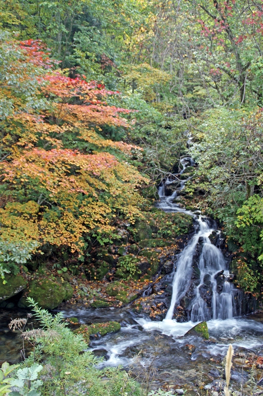 時雨の滝-2