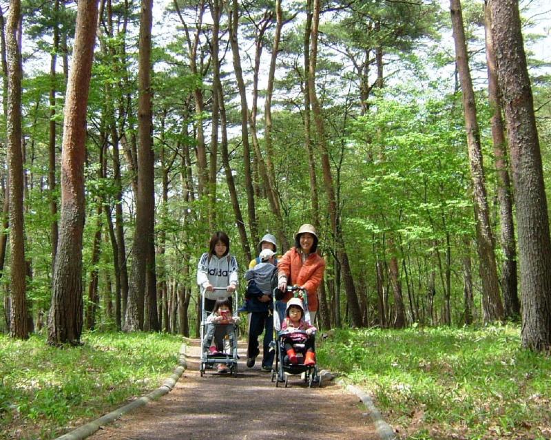 那須道路風景林