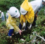 木を植えよう！