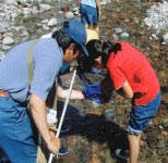 水生昆虫を調べてみよう！