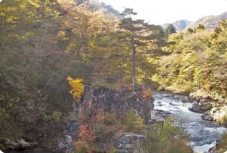 紅葉の高瀬川渓谷