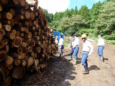 土場（伐採した木を一時的に集める場所）の見学