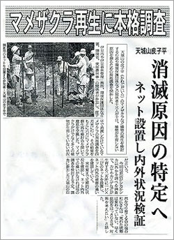 伊豆日日新聞記事