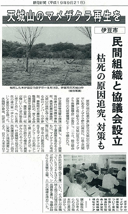 静岡新聞の記事