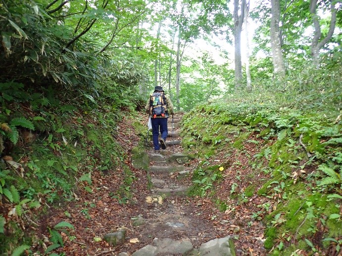 登山道入口の登山道画像