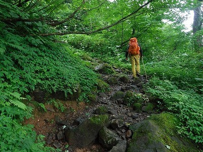 登山道