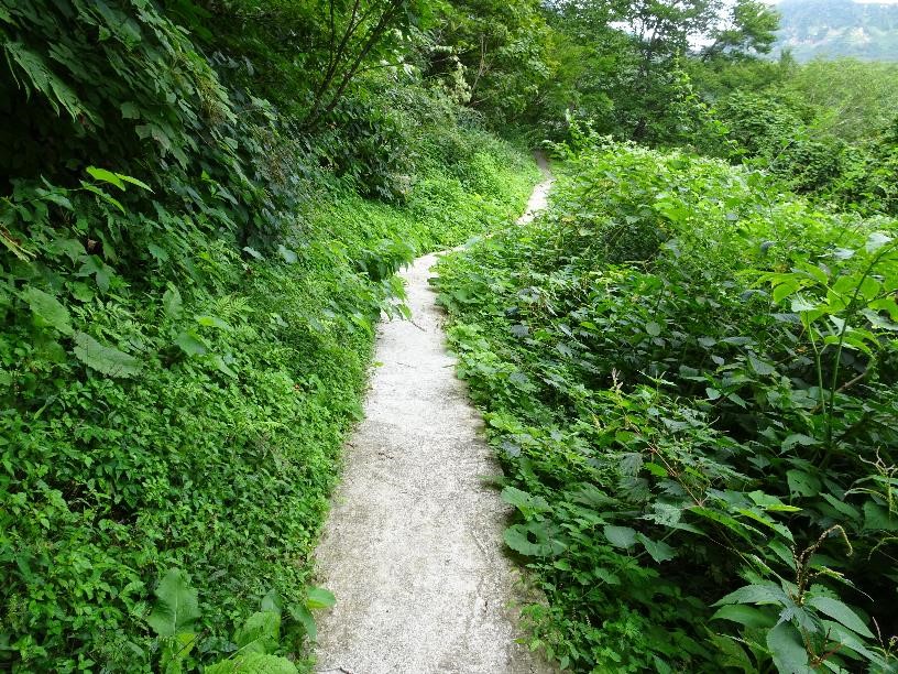 登山道入り口の案内看板