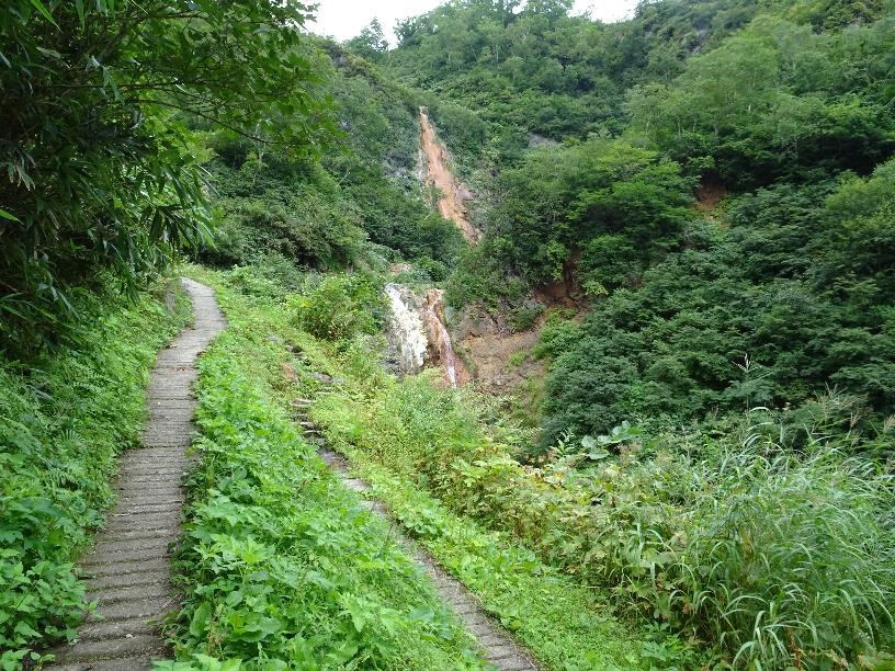 複線型登山道