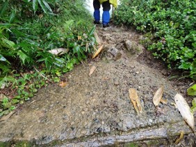 雨でぬかるむ登山道