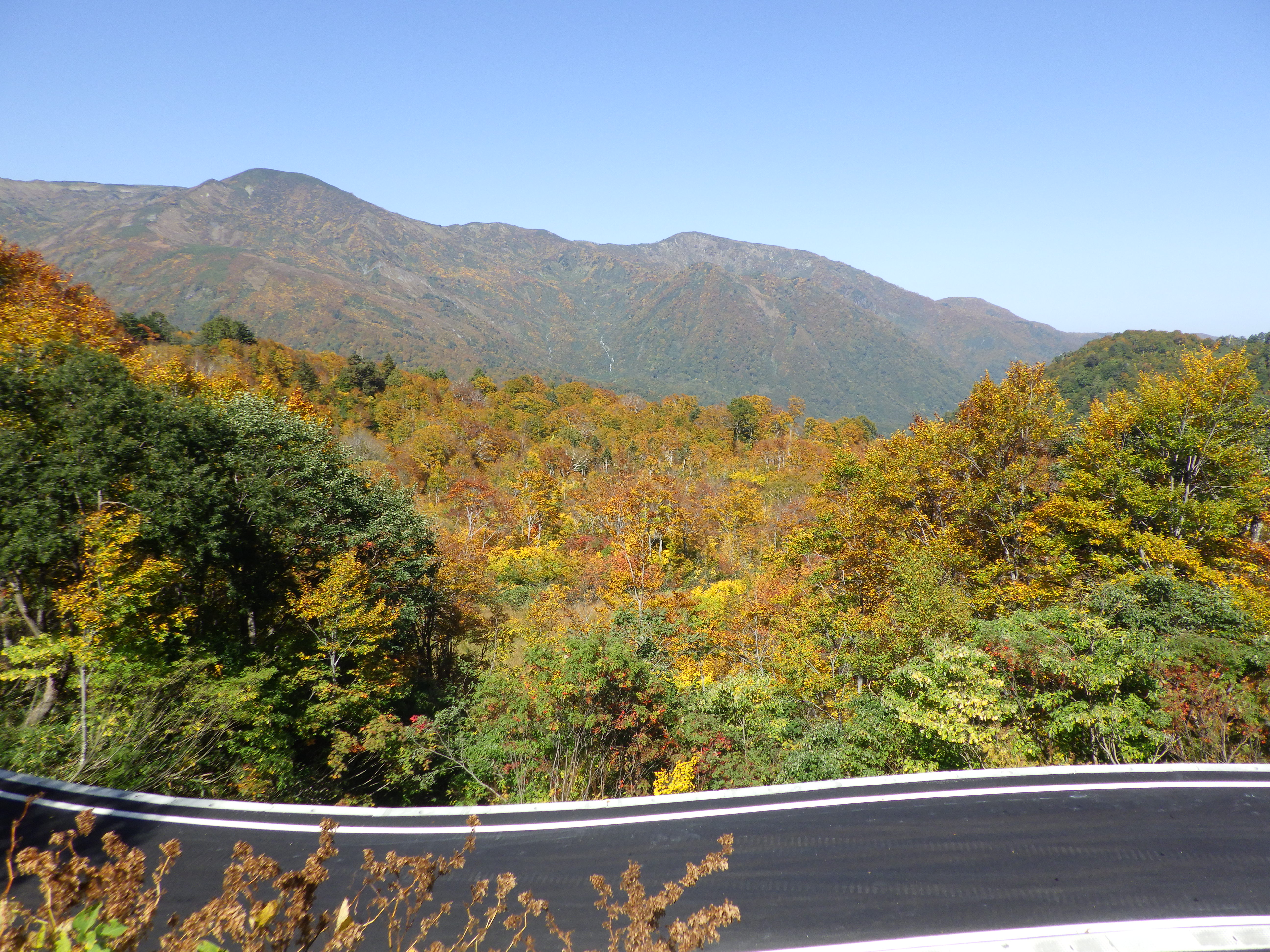 風致探勝林からの景色