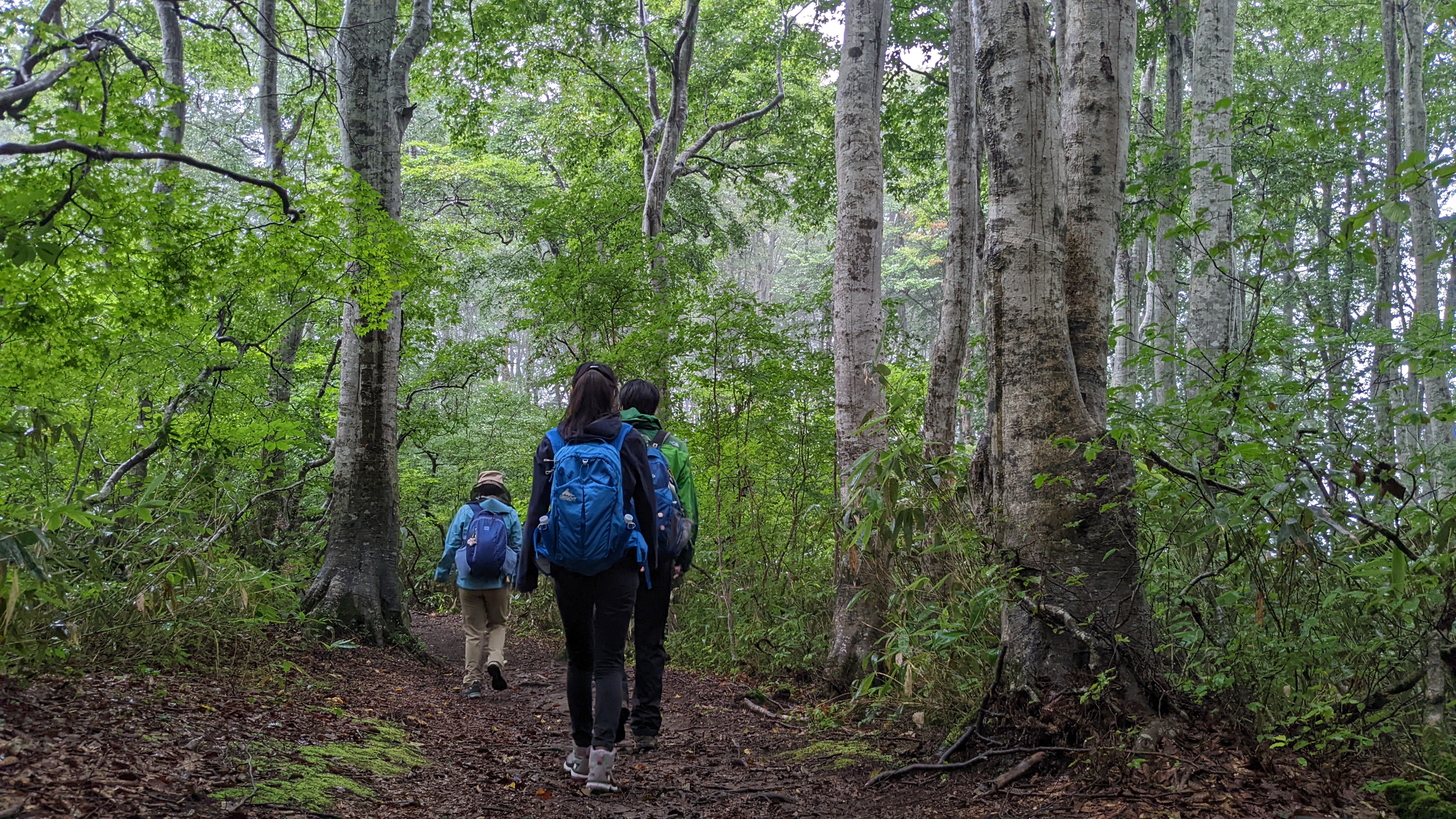 信越トレイル歩く人