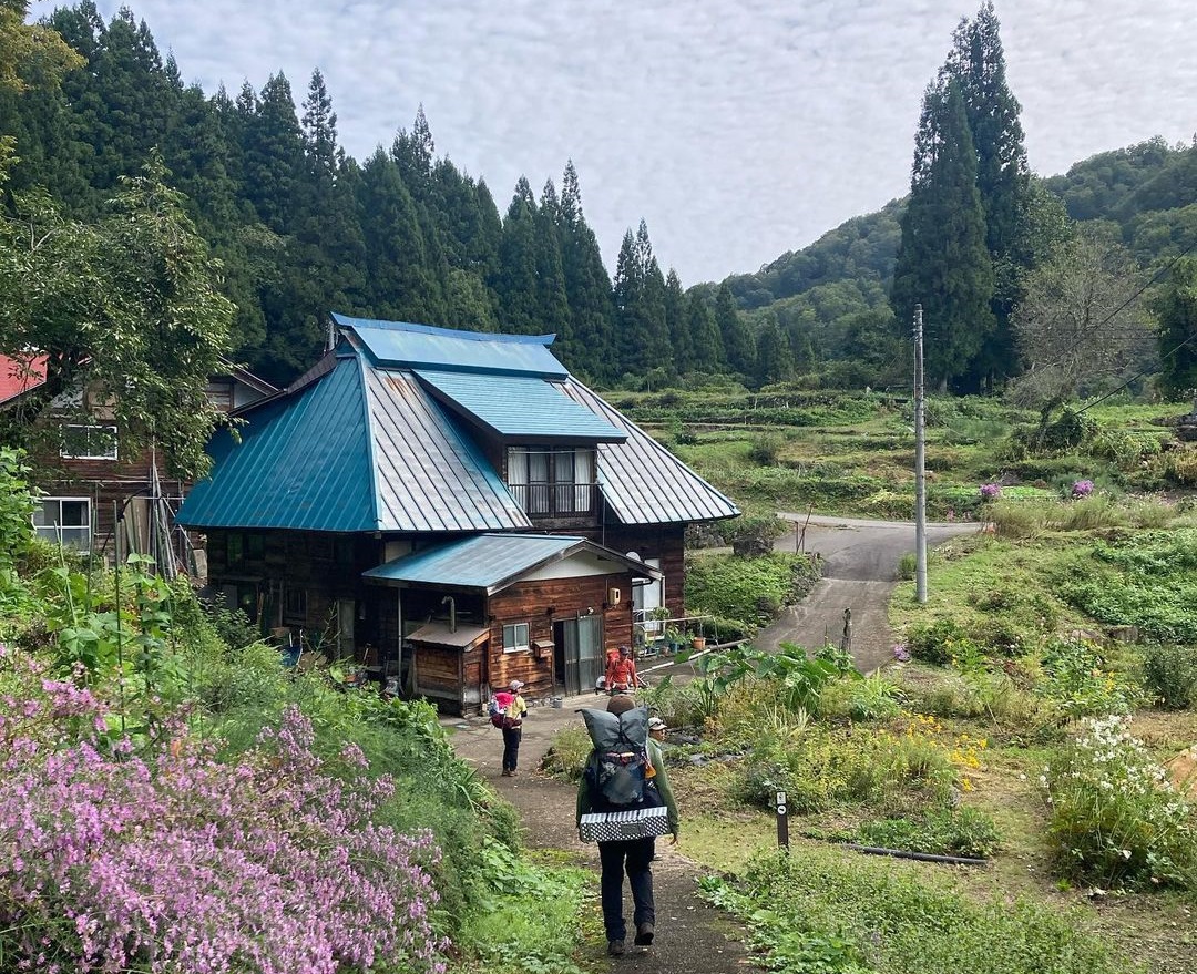 里山の様子