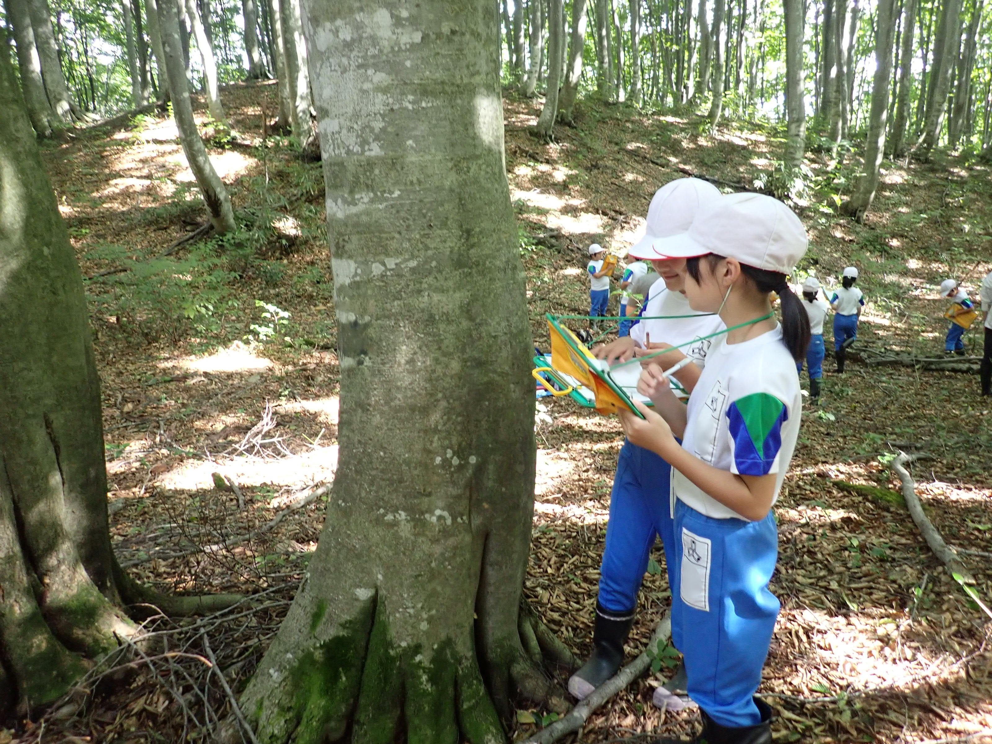 自然観察の様子