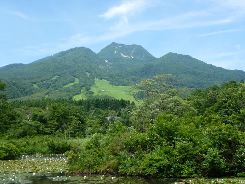 新緑の妙高山1209