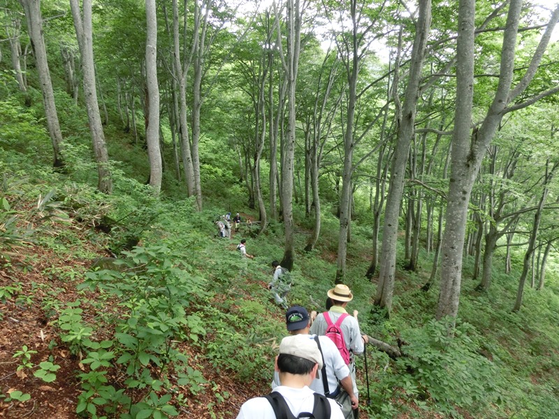信越トレイル