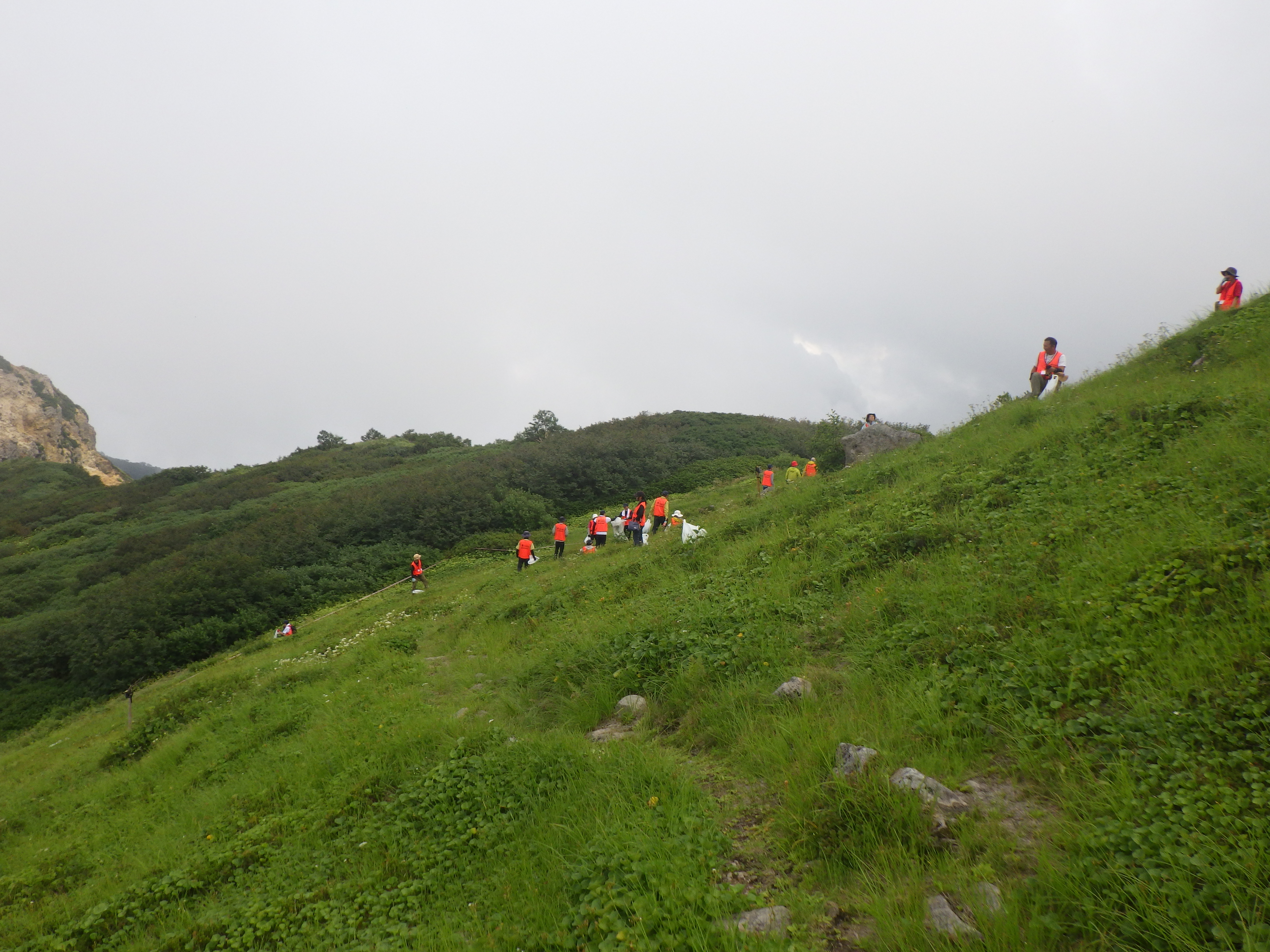第2回目のイネ科植物除去の様子